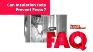 Can Insulation Prevent Pests and Rodents Out of Your Home?